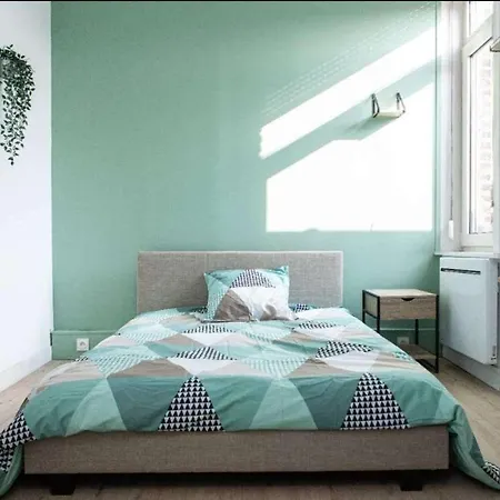 La Calaisienne - Grande Maison 6 Ch-cinema Prive & Bar-tourcoing * Tourcoing