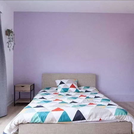 Vila La Calaisienne - Grande Maison 6 Ch-cinema Prive & Bar-tourcoing *